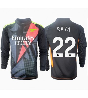 Arsenal David Raya #22 Målvakt Tredje Tröja 2024-25 Långärmad